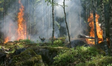 Karhutla Di Kepulauan Meranti Terus Meluas, 110 Hektare Lahan Telah Terbakar