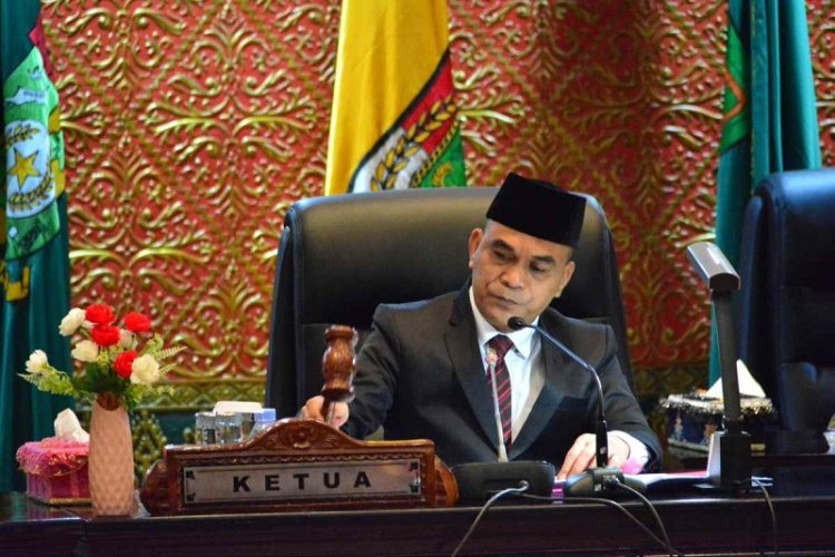Bentuk Pansus Plasma, DPRD Riau Kawal Kewajiban 20 Persen HGU Kemitraan Untuk Masyarakat