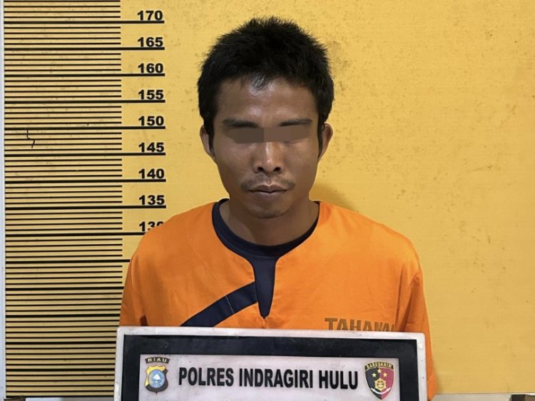 Terdeteksi Lewat Dashboard Lancang Kuning (DLK), Polres Inhu Tangkap Pelaku Pembakar Lahan Di Batang Cenaku
