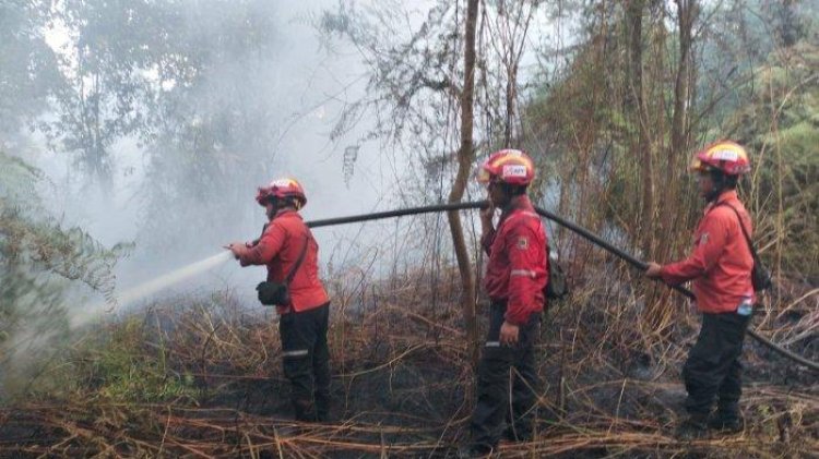 Berjibaku Padamkan Api Di Lahan 4 Hektare, BPBD Siak Turunkan Tim Gabungan Ke Kampung Mengkapan