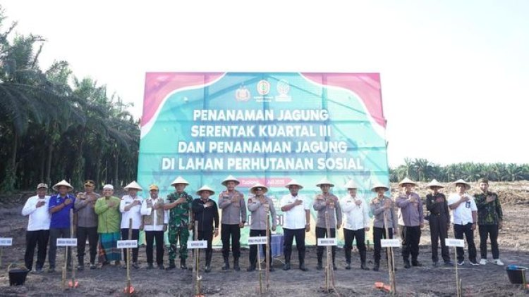 Dukung Swasembada Pangan, Polda Riau Tanam 175.000 Biji Jagung Hibrida Di Siak