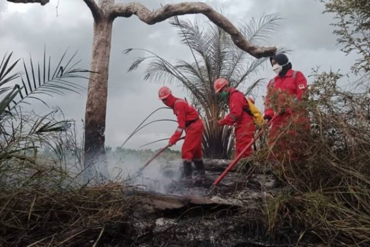 39 Titik Panas Terdeteksi Di Provinsi Riau, BMKG Himbau Masyarakat Waspada Cuaca Ekstrem Jelang Akhir Pekan