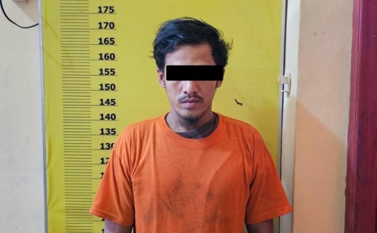 Tiga Ponsel Mahasiswa KKN Rohil Raib, Polsek Rimba Melintang Berhasil Ungkap Pelaku Pencurian Di Kantor BPKEP