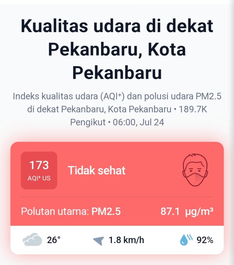 PM2.5 Tembus 17 Kali Batas WHO, Kualitas Udara Pekanbaru Masuk Kategori Tidak Sehat