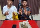 Edarkan Ganja Kering, Polres Kuansing Ciduk Dua Pelajar Di Desa Bukit Raya