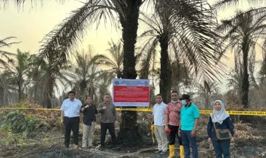 Picu Karhutla Provinsi Riau, Ditjend Gakkum KLHK Resmi Segel 3 Perusahaan Pemanfaatan Hutan