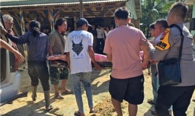 Halau Satwa Liar Masuki Area Perkebunan, Istri Petani Di Desa Tasik Serai Bengkalis Tewas Di Injak Gajah