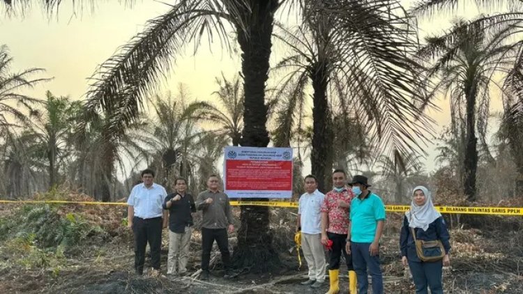 Picu Karhutla Provinsi Riau, Ditjend Gakkum KLHK Resmi Segel 3 Perusahaan Pemanfaatan Hutan