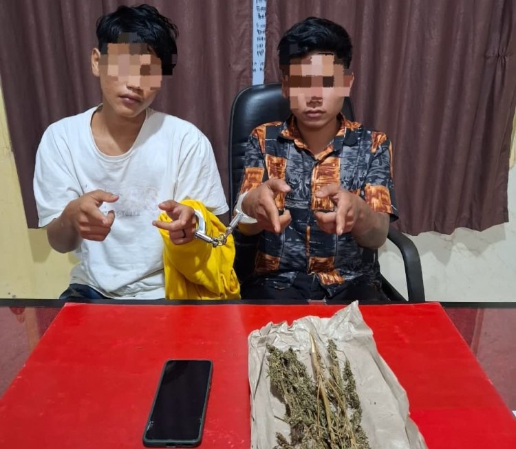 Edarkan Ganja Kering, Polres Kuansing Ciduk Dua Pelajar Di Desa Bukit Raya