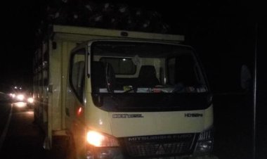 Colt Diesel Bergoyang Tak Wajar Di Kuansing, Warga Amankan Sepasang Muda-Mudi Diduga Berbuat Mesum