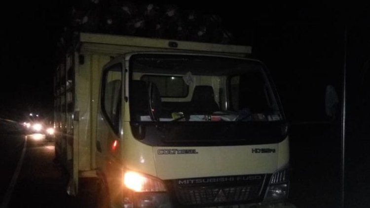Colt Diesel Bergoyang Tak Wajar Di Kuansing, Warga Amankan Sepasang Muda-Mudi Diduga Berbuat Mesum