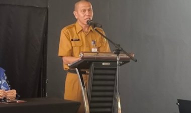 Disbun Riau Mulai Lakukan Peremajaan Kebun, Bantuan 600 Ribu Bibit Kelapa Difokuskan Ke Dua Daerah Sentra