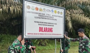 Pemerintah Buka Peluang Ambil Alih Operasional 28 Perusahaan Perusak Hutan Di Pulau Sumatra
