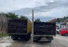 Diduga Berasal Dari Hutan Kerumutan, Polda Riau Amankan Dua Truk Bermuatan Kayu Ilegal