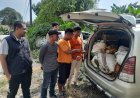 Curi Sawit PT AIP Seberat 410 Kg, Dua Pemuda Bawa Innova Ditangkap Polsek Tualang
