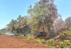 Picu Karhutla 5 Hektare, Polres Bengkalis Amankan Perambah Kawasan Hutan Di Bukit Batu