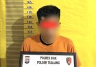Terjerat UU Perlindungan Anak,  Pria 33 Tahun Ditangkap Polsek Tualang