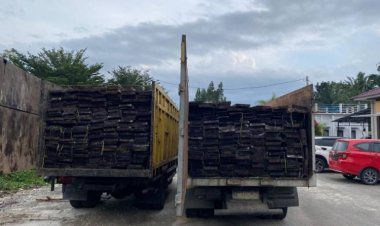 Diduga Berasal Dari Hutan Kerumutan, Polda Riau Amankan Dua Truk Bermuatan Kayu Ilegal