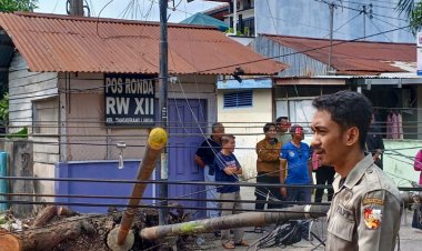 Respons Operator Terlalu Lambat Terhadap Tiang Fiber Optik Tumbang, Pemko Pekanbaru Turun Tangan Lakukan Evakuasi