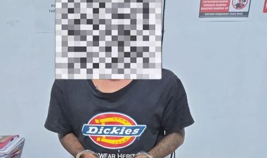 Sita 1,9 Kg Ganja Kering Di Batang Serosa, Polsek Mandau Amankan Satu Pria