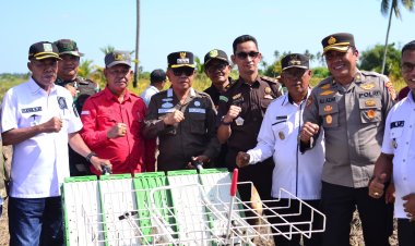 Optimistis Swasembada Pangan, Produksi Padi Meranti Tembus 6.000 Ton per Tahun