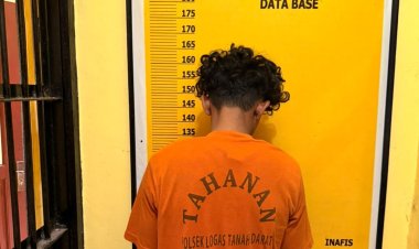 Curi 14 Tandan TBS Sawit, Pemuda Di Kuansing Berurusan Dengan Polisi