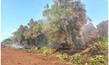 Picu Karhutla 5 Hektare, Polres Bengkalis Amankan Perambah Kawasan Hutan Di Bukit Batu