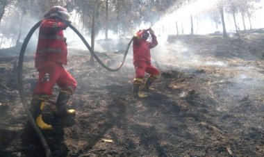 Karhutla Pulau Mendol Capai 500 Hektare, Petugas Dan Warga Kewalahan Setelah Hampir Dua Pekan Padamkan Api