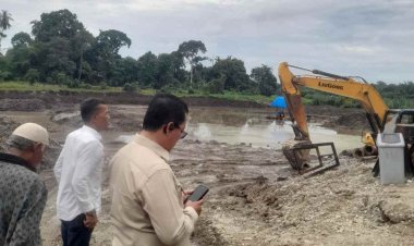 Picu Abrasi Lahan Pemakaman Warga, Ketua Komisi III DPRD Riau Minta Tambang Sirtu Pulau Tinggi Ditutup