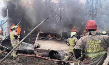 Diduga Korsleting Listrik, Gudang Bibit Sawit Dan Solar Di Pekanbaru Terbakar Hebat