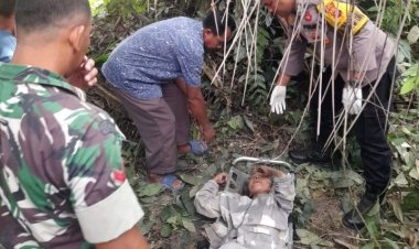 Sempat Hilang Lebih Dari Sepekan, Lansia 60 Tahun Ditemukan Lemas Di Kebun Sawit Kandis