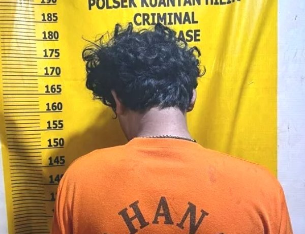 Curi 13 Tandan Sawit PT Agrinas Palma Nusantara, Pemuda Inuman Diamankan Polsek Kuantan Hilir