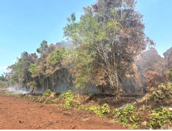 Picu Karhutla 5 Hektare, Polres Bengkalis Amankan Perambah Kawasan Hutan Di Bukit Batu