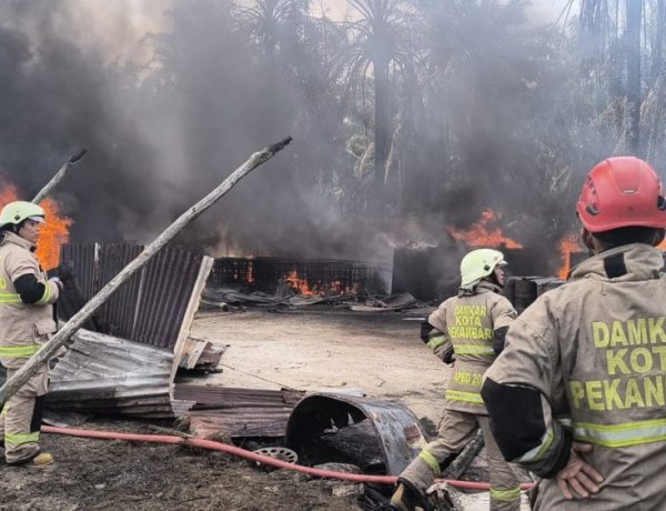 Diduga Korsleting Listrik, Gudang Bibit Sawit Dan Solar Di Pekanbaru Terbakar Hebat