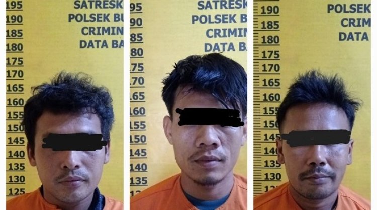 Gasak 44 Buah Tandan Sawit Milik PT APL, Polsek Bunut Amankan Tiga Orang Pelaku