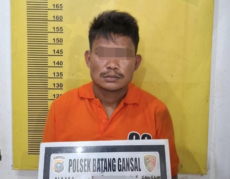 Bongkar Peredaran Narkoba Di Desa Siambul, Polsek Batang Gansal Amankan Seorang Pengedar Sabu