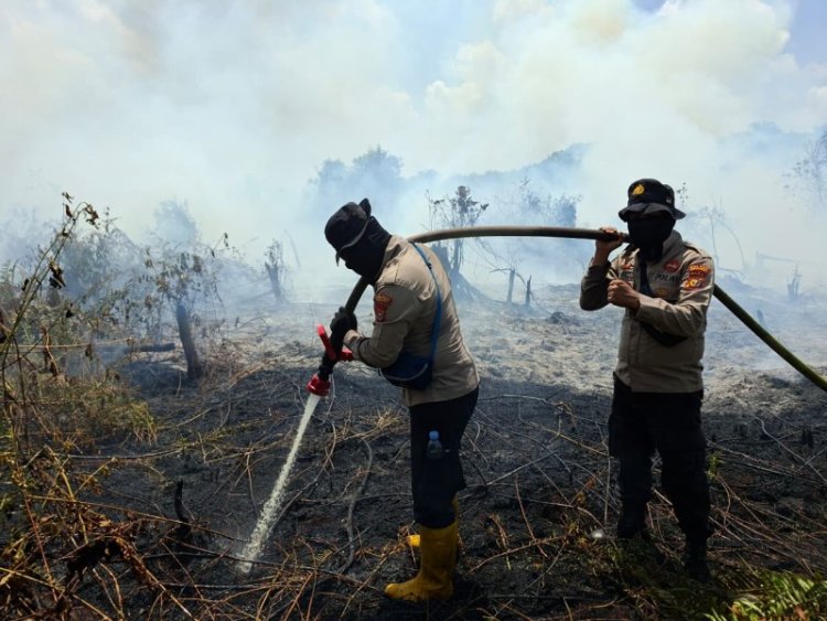 Karhutla Terpantau Di Kuala Kampar, Polres Pelalawan Dan MPA Berjibaku Lakukan Pendinginan