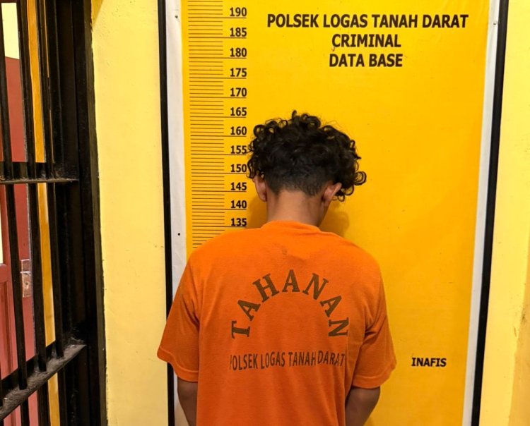 Curi 14 Tandan TBS Sawit, Pemuda Di Kuansing Berurusan Dengan Polisi