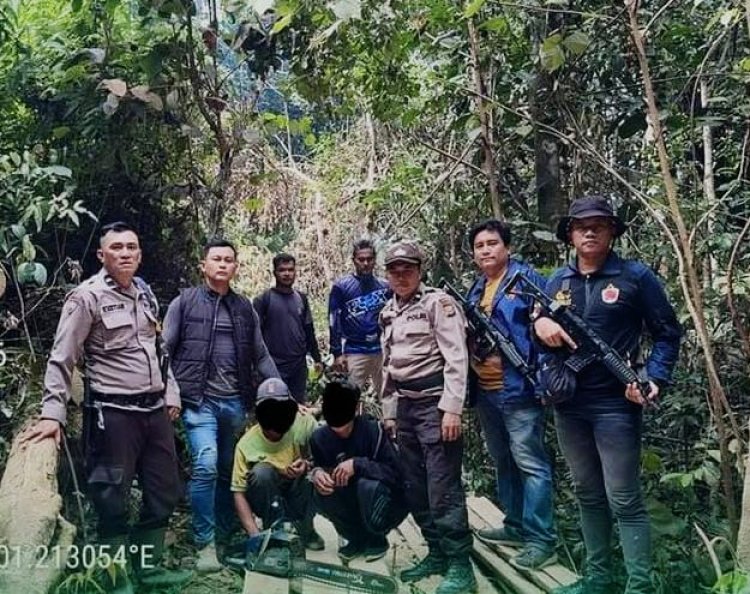 Jaga Kelestarian Hutan Di SM Rimbang Baling, Polsek Singingi Hilir Berhasil Amankan Dua Pelaku Ilegal Logging