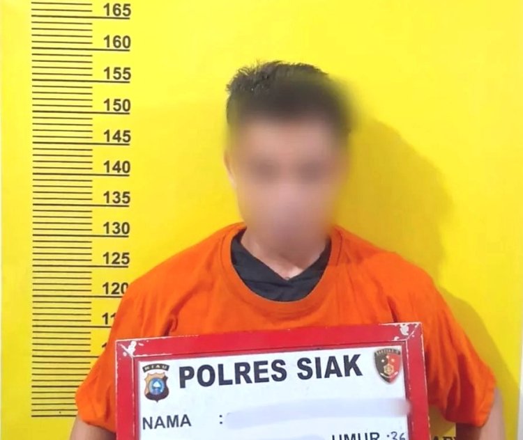 Pura-pura Jadi Pembeli Narkoba, Bandar Sabu Di Suak Lanjut Tak Berkutik Dir­ingkus Polres Siak