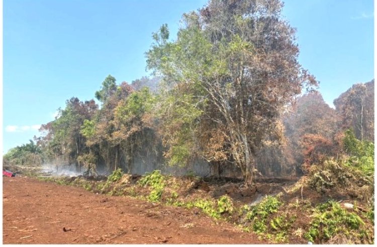 Picu Karhutla 5 Hektare, Polres Bengkalis Amankan Perambah Kawasan Hutan Di Bukit Batu