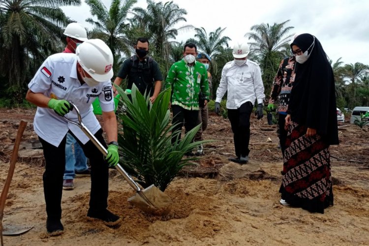 Targetkan 11.600 Hektare PSR Tahun 2026, Pemprov Riau Siapkan Bantuan Rp60 Juta per Hektare Bagi Petani
