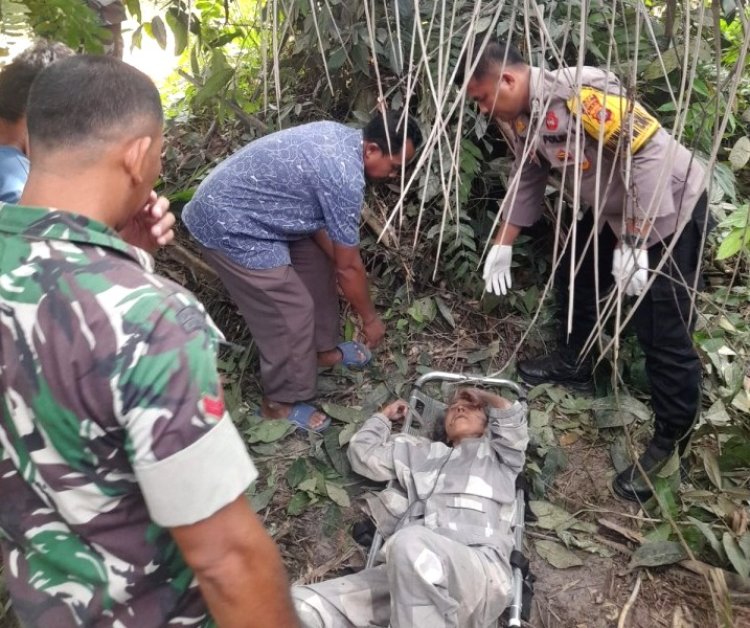 Sempat Hilang Lebih Dari Sepekan, Lansia 60 Tahun Ditemukan Lemas Di Kebun Sawit Kandis