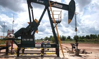 Cari Dua Direktur Baru, Lowongan Direksi Riau Petroleum Dibuka 9 Hingga 27 Maret 2026