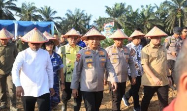Dorong Ketahanan Pangan Nasional, Polda Riau Optimalkan 40 Hektare Lahan Sawit Replanting Di Pelalawan