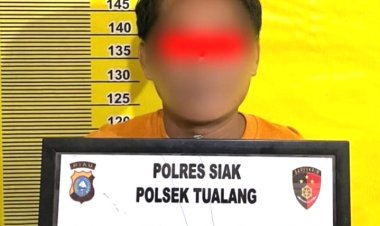 Ketahuan Curi 27 Tandan Sawit Di Kebun PT SIR Lukut, Pria Di Tualang Siak Diamankan Polisi