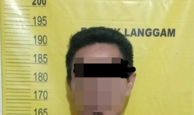 Curi 9 Tandan Sawit Milik CV Segati Jaya, Pria Di Langgam Diciduk Polisi