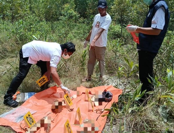 Temukan Kerangka Manusia Di Kawasan PT RAPP, Polres Kuansing Lakukan Autopsi Dan Penyelidikan