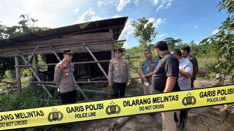 Sepasang Gading Jadi Barang Bukti, Polda Riau Tangkap Pelaku Pembunuh Gajah Kepala Terpotong