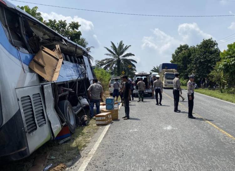 Tragedi Maut Pangkalan Lesung, 4 Penumpang Bus PMH Meninggal Di Tempat